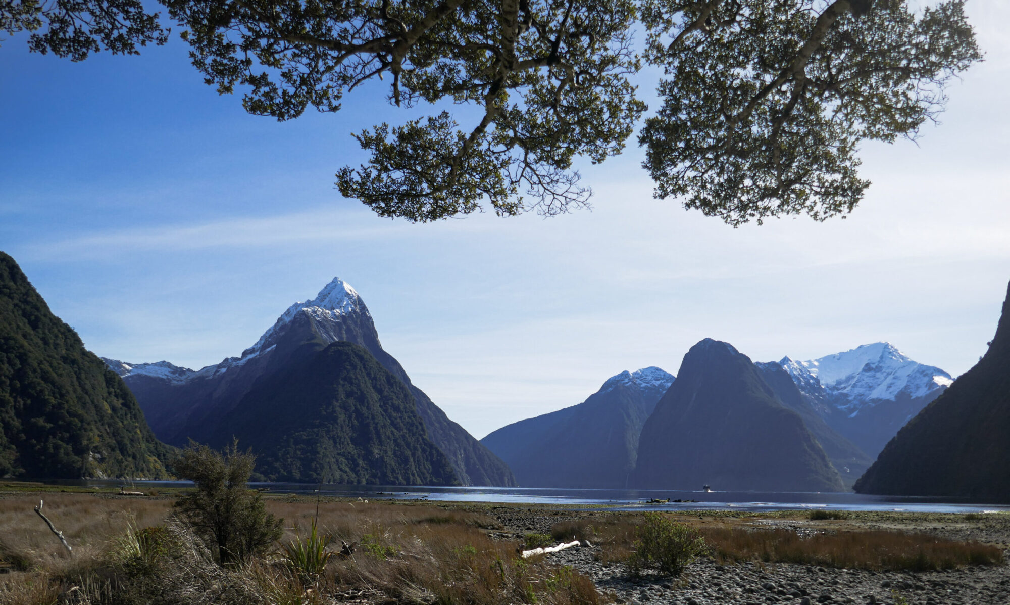 Croisière Milford Sound